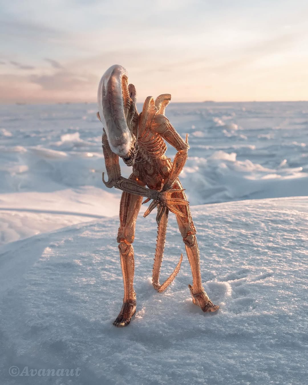 Alien